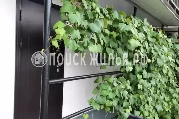 Частный сектор «Сусанна», Республика Абхазия, Гагра, Генерала Дбар 5-й тупик, д.12