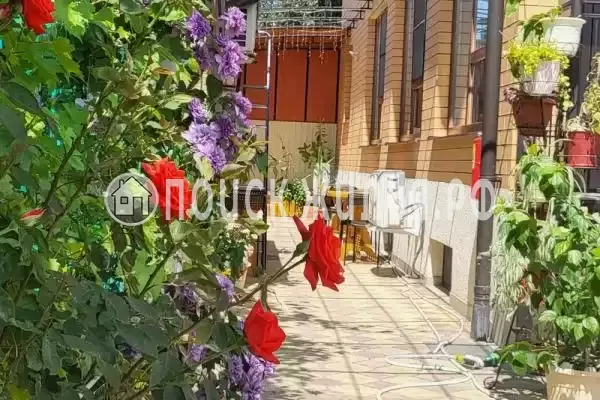 «Немо», Ейск