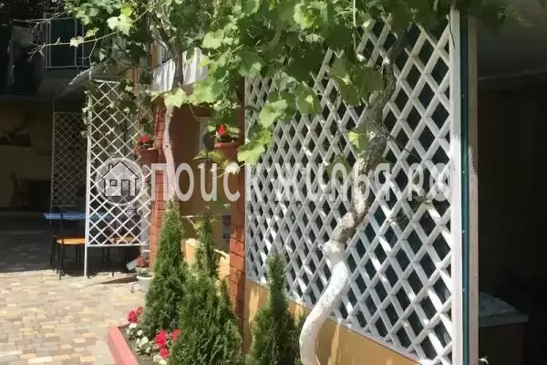 «Фламинго», Ольгинка «Фламинго», Ольгинка