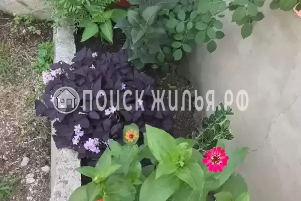  «У Ребеки», Псырцха