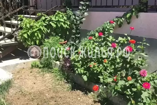  «У Ребеки», Псырцха