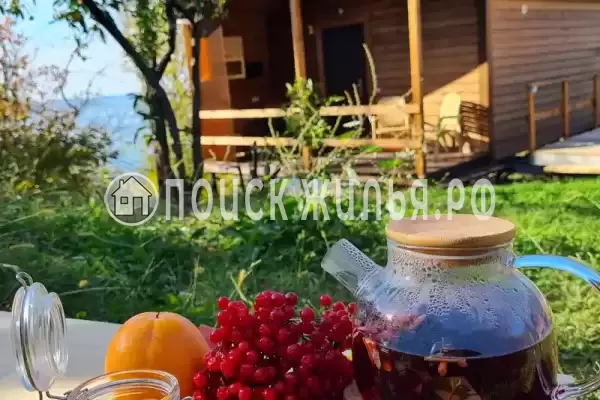 «Панама», Чемитоквадже