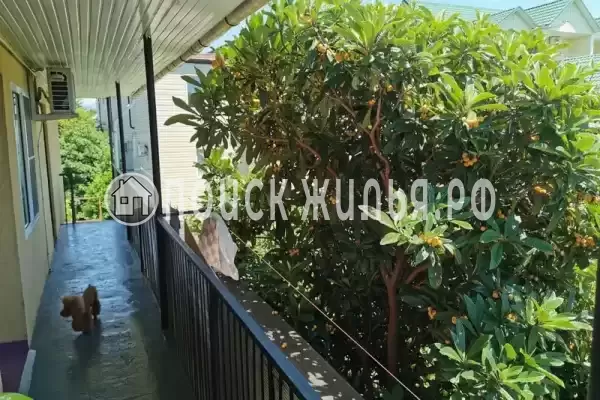 Частный сектор «Алекс», Адлер Частный сектор «Алекс», Адлер