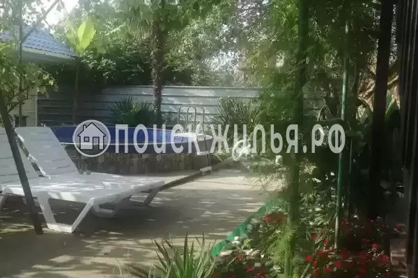 «Пальмира», Вишневка «Пальмира», Вишневка