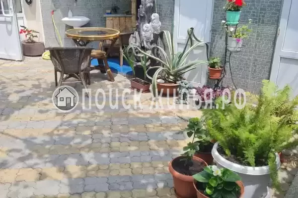 «На Гоголя», Адлер