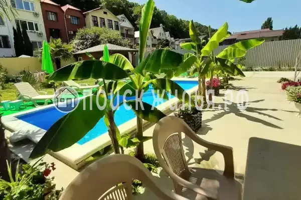 «Mirai», Солоники «Mirai», Солоники