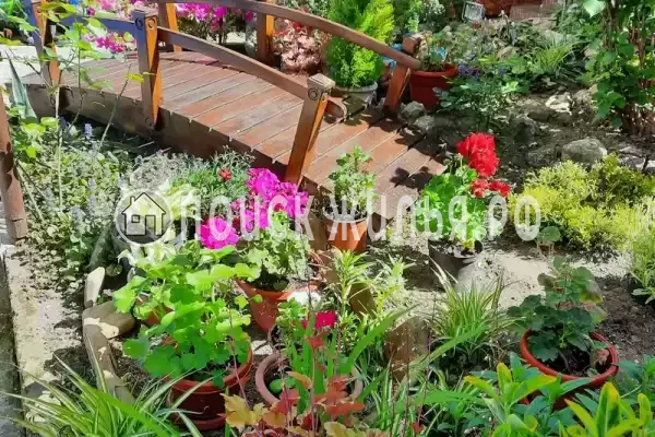 «На Полевой», Адлер