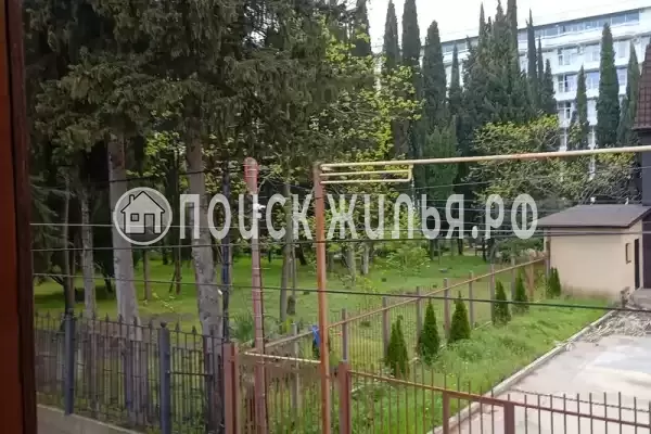 «На Аллейной», Адлер