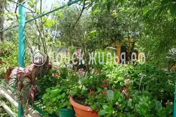 Гостевой дом «У Гарика», Новый Афон