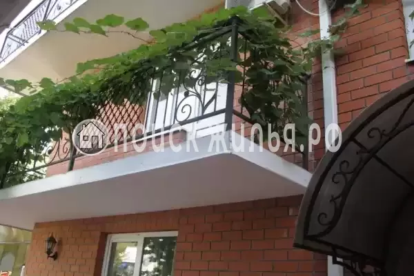 Гостевой дом «У тюльпанового дерева», Головинка Гостевой дом «У тюльпанового дерева», Головинка