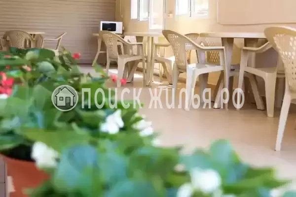 «Афалина», Адлер