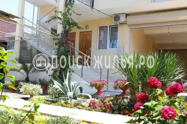 «Афалина», Адлер