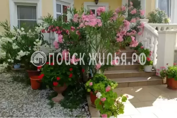 «Олеандр», Дивноморское