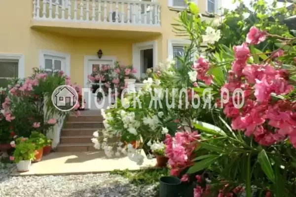 «Олеандр», Дивноморское