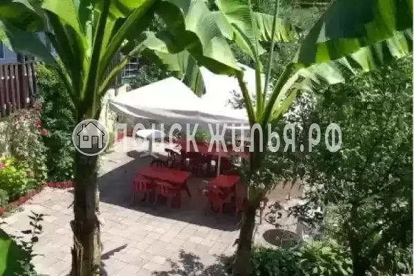 «Анюта», Солоники