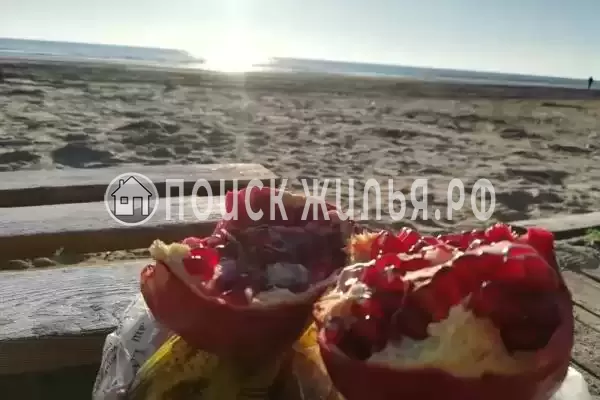 «Avet», Джемете