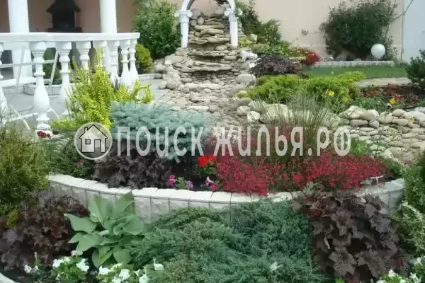 «Костяника», Криница