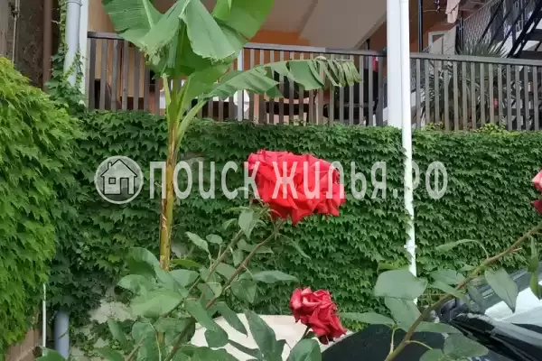 «Велиза», Алушта «Велиза», Алушта