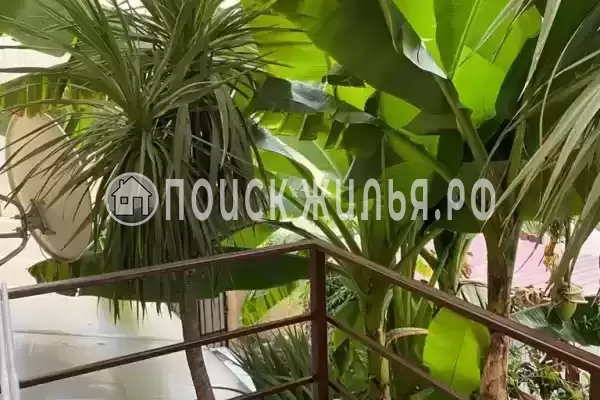 Гостевой дом «У Лёвы», Адлер