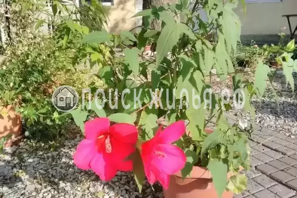 «Тихая гавань», Кабардинка «Тихая гавань», Кабардинка