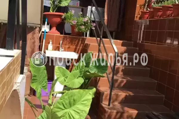 Гостевой дом «У Кота Василия», Гагра Гостевой дом «У Кота Василия», Гагра