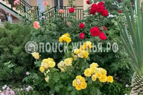 Гостевой дом «Светалина», Витязево Гостевой дом «Светалина», Витязево