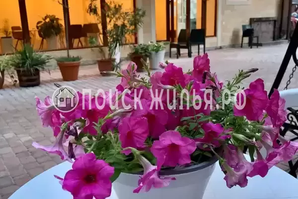 «Адель», Судак «Адель», Судак