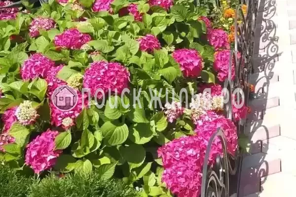 Частный сектор «Кетук», Головинка