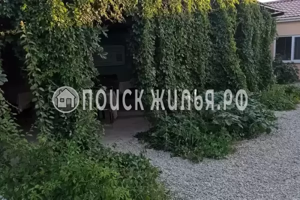 «У Алима», Судак