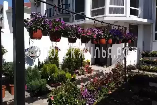 «Долина цветов», Лазаревское