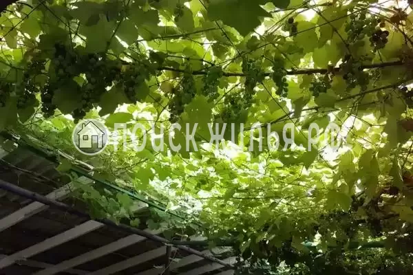 «У моря», Лоо