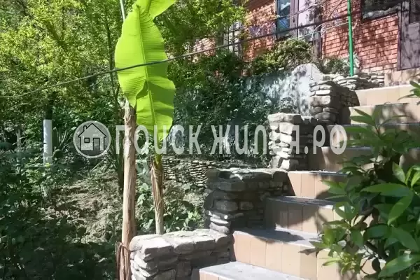 Частный сектор «Три медведя», Ольгинка Частный сектор «Три медведя», Ольгинка