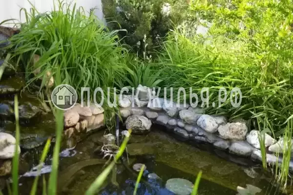 «Ямал», Черноморское «Ямал», Черноморское