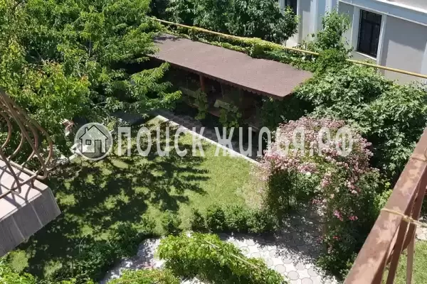 «Пчелка Майя», Севастополь «Пчелка Майя», Севастополь