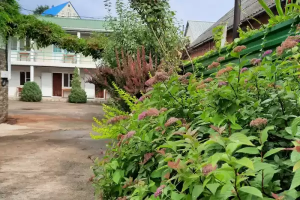 Гостевой дом «Киви», Краснодарский край, Лермонтово, Солнечная, д. 7