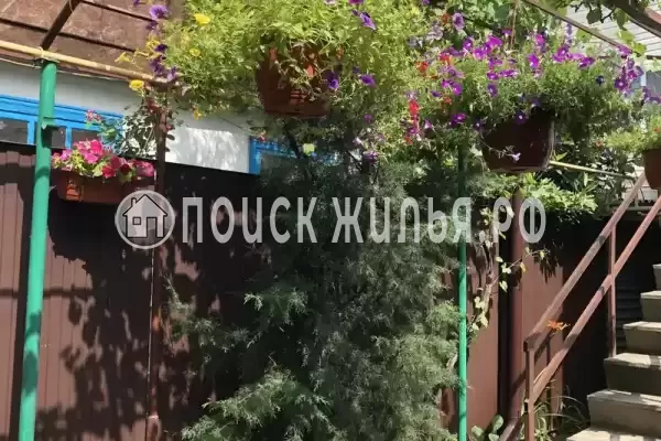 Частный сектор «Адениум», Лазаревское
