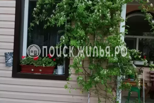 Частный сектор «София», Ольгинка