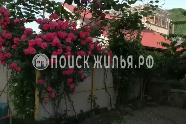 Частный сектор «София», Ольгинка Частный сектор «София», Ольгинка