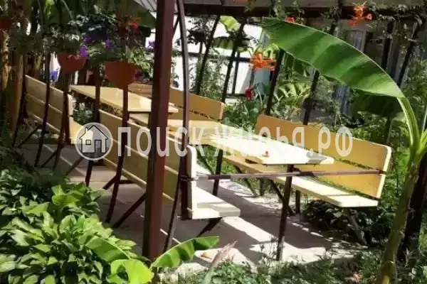 «Светлана», Солоники