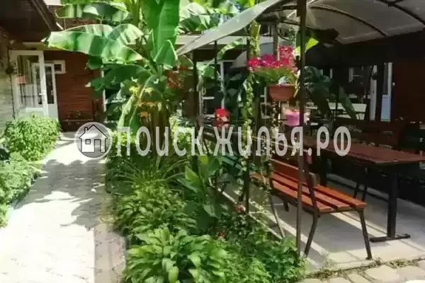 «Светлана», Солоники