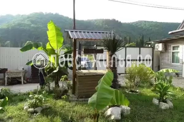 «Светлана», Солоники