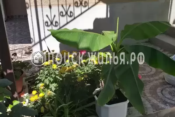 Частный сектор «Marina Garden», Геленджик Частный сектор «Marina Garden», Геленджик