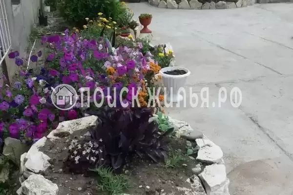 Частный сектор «Эльвира», Цандрипш