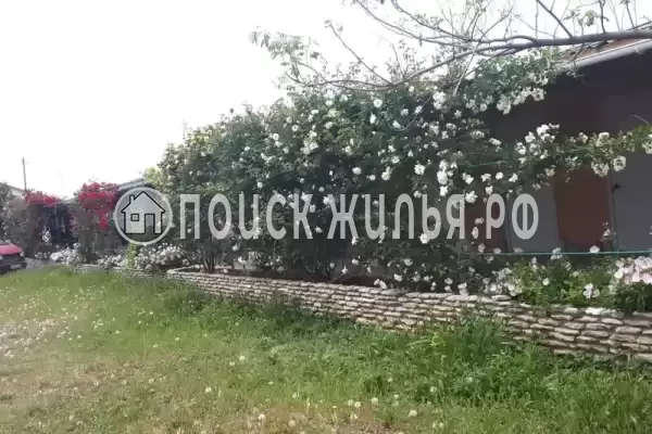 «В Оленевке», Оленевка «В Оленевке», Оленевка