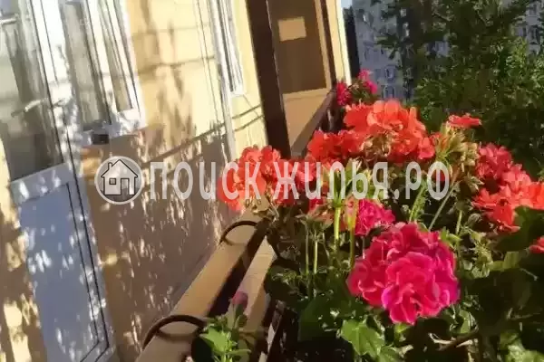 «Greenwood», Адлер «Greenwood», Адлер