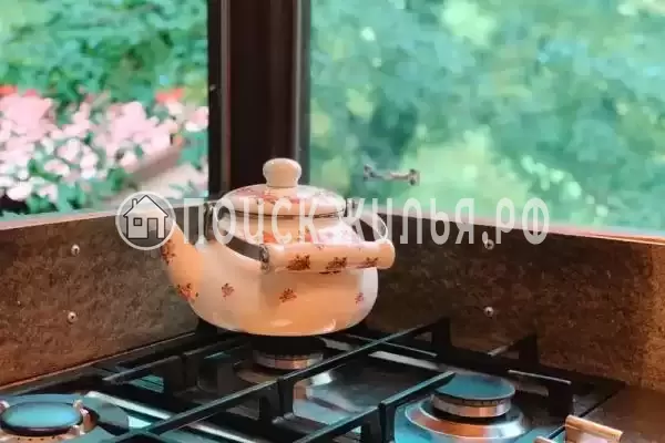 «Дом в лесу», Бетта «Дом в лесу», Бетта