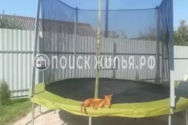 «На Дунайской», Совет-Квадже «На Дунайской», Совет-Квадже