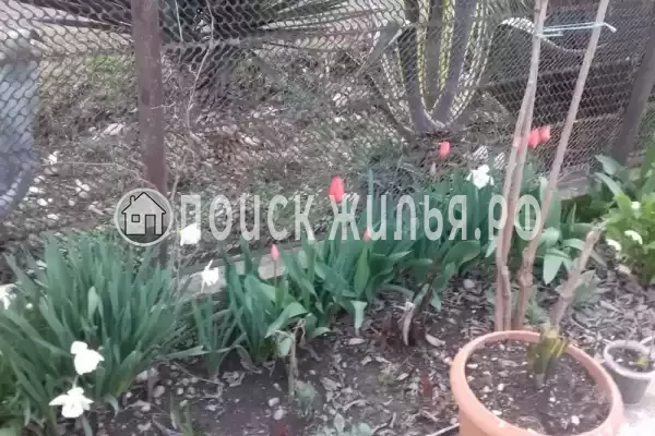 Гостевой дом «У Риты», Алахадзы