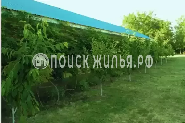 Гостевой дом «Азов Холидей», Кучугуры Гостевой дом «Азов Холидей», Кучугуры