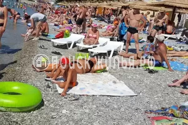 «Дарья», Геленджик